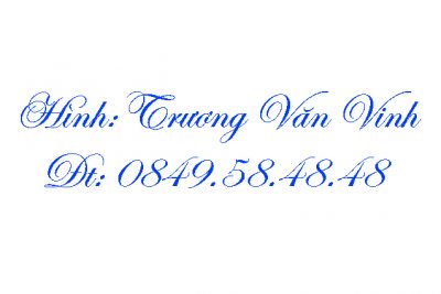 LỄ HỘI ĐƯỜNG PHỐ – LỄ HỘI THỔ CẨM VIỆT NAM LẦN THỨ I TẠI ĐĂK NÔNG